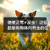 便便正常≠没虫!这些都是狗狗体内有虫的信号!(图2) 便便正常≠没虫!这些都是狗狗体内有虫的信号!(图2)