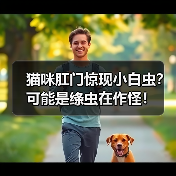 猫咪肛门惊现小白虫？可能是绦虫在作怪！（图3）