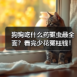 狗狗吃什么药驱虫最全面？看完少花冤枉钱！（图2）
