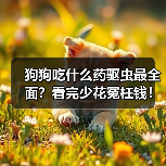 狗狗吃什么药驱虫最全面？看完少花冤枉钱！（图4）