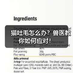 猫吐毛怎么办？兽医教你如何应对！（图2）