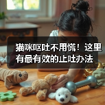猫咪呕吐不用慌！这里有最有效的止吐办法（图1）