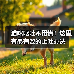 猫咪呕吐不用慌！这里有最有效的止吐办法（图4）