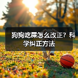 狗狗吃屎怎么改正？科学纠正方法（图3）