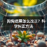 狗狗吃屎怎么改正？科学纠正方法（图4）