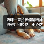 猫咪一直拉稀但是精神很好?别轻视,小心这3种病(图1) 猫咪一直拉稀但是精神很好?别轻视,小心这3种病(图1)