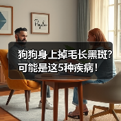 狗狗身上掉毛长黑斑？可能是这5种疾病！（图4）