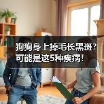 狗狗身上掉毛长黑斑？可能是这5种疾病！（图1）