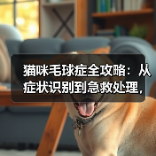 猫咪毛球症全攻略：从症状识别到急救处理，养猫必看！（图2）
