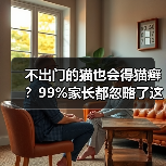 不出门的猫也会得猫癣？99%家长都忽略了这个细节（图4）
