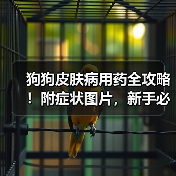 狗狗皮肤病用药全攻略！附症状图片，新手必存！（图4）