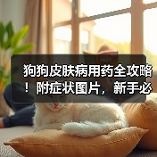 狗狗皮肤病用药全攻略！附症状图片，新手必存！（图2）