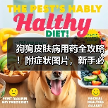 狗狗皮肤病用药全攻略！附症状图片，新手必存！（图1）