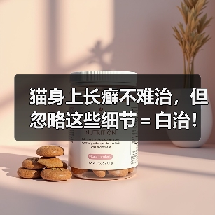 猫身上长癣不难治，但忽略这些细节＝白治！（图3）