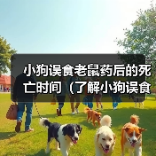 小狗误食老鼠药后的死亡时间(了解小狗误食老鼠药后的危险性与处理方法)(图4) 小狗误食老鼠药后的死亡时间(了解小狗误食老鼠药后的危险性与处理方法)(图4)