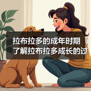 拉布拉多的成年时期(了解拉布拉多成长的过程,让它健康快乐地成年)(图3) 拉布拉多的成年时期(了解拉布拉多成长的过程,让它健康快乐地成年)(图3)