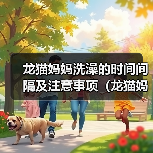 龙猫妈妈洗澡的时间间隔及注意事项(龙猫妈妈洗澡的频率、水温和洗澡方式)(图2) 龙猫妈妈洗澡的时间间隔及注意事项(龙猫妈妈洗澡的频率、水温和洗澡方式)(图2)