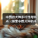中国的犬种多样性与特点(探索中国犬种的丰富性及其对传统文化的贡献)(图3) 中国的犬种多样性与特点(探索中国犬种的丰富性及其对传统文化的贡献)(图3)