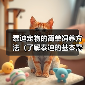 泰迪宠物的简单饲养方法（了解泰迪的基本需求，营造舒适生活环境）