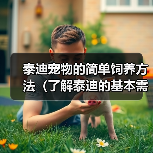 泰迪宠物的简单饲养方法（了解泰迪的基本需求，营造舒适生活环境）（图2）