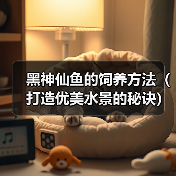 黑神仙鱼的饲养方法（打造优美水景的秘诀）（图3）