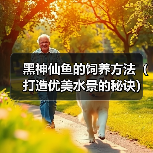 黑神仙鱼的饲养方法（打造优美水景的秘诀）