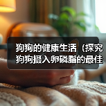 狗狗的健康生活（探究狗狗摄入卵磷脂的最佳时机，让你的宠物更健康！）（图2）