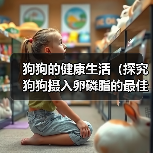 狗狗的健康生活（探究狗狗摄入卵磷脂的最佳时机，让你的宠物更健康！）