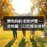 宠物狗的毛发护理——食物篇（以吃那些食物对狗狗的毛发好？）（图2）