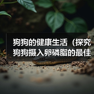 狗狗的健康生活（探究狗狗摄入卵磷脂的最佳时机，让你的宠物更健康！）（图3）