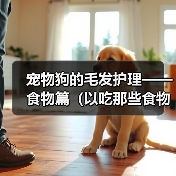 宠物狗的毛发护理——食物篇（以吃那些食物对狗狗的毛发好？）（图4）