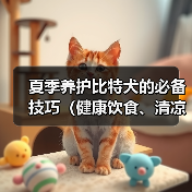 夏季养护比特犬的必备技巧(健康饮食、清凉防晒,让您的比特犬度过一个舒适的夏天)(图3) 夏季养护比特犬的必备技巧(健康饮食、清凉防晒,让您的比特犬度过一个舒适的夏天)(图3)