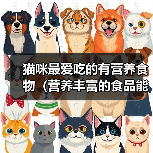 猫咪最爱吃的有营养食物（营养丰富的食品能让你的猫咪更健康快乐）（图2）