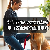 如何正确给宠物猫剪指甲（安全易行的指甲修剪技巧与注意事项）（图4）