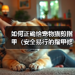 如何正确给宠物猫剪指甲（安全易行的指甲修剪技巧与注意事项）（图3）
