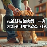 克维舒抗菌病例 | 一例犬跳蚤叮咬性皮炎(FAD)的病例分析(图2) 克维舒抗菌病例 | 一例犬跳蚤叮咬性皮炎(FAD)的病例分析(图2)