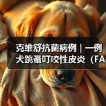 克维舒抗菌病例 | 一例犬跳蚤叮咬性皮炎（FAD）的病例分析