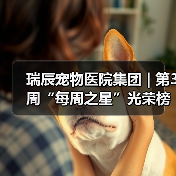 瑞辰宠物医院集团 | 第3周“每周之星”光荣榜（图2）