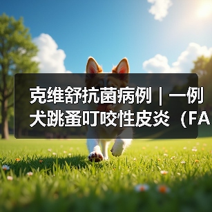 克维舒抗菌病例 | 一例犬跳蚤叮咬性皮炎(FAD)的病例分析(图3) 克维舒抗菌病例 | 一例犬跳蚤叮咬性皮炎(FAD)的病例分析(图3)