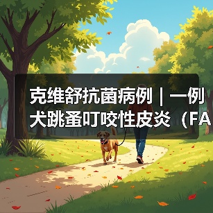 克维舒抗菌病例 | 一例犬跳蚤叮咬性皮炎(FAD)的病例分析(图4) 克维舒抗菌病例 | 一例犬跳蚤叮咬性皮炎(FAD)的病例分析(图4)