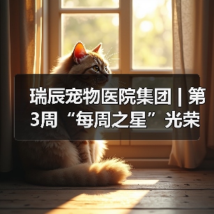 瑞辰宠物医院集团 | 第3周“每周之星”光荣榜（图3）