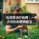 海泊舒治疗病例 | 一例犬咬伤的病例报告(图2) 海泊舒治疗病例 | 一例犬咬伤的病例报告(图2)