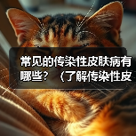 常见的传染性皮肤病有哪些?(了解传染性皮肤病,预防传播才能更有效)(图2) 常见的传染性皮肤病有哪些?(了解传染性皮肤病,预防传播才能更有效)(图2)