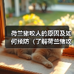 荷兰猪咬人的原因及如何预防(了解荷兰猪攻击的原因,确保与宠物的安全)(图3) 荷兰猪咬人的原因及如何预防(了解荷兰猪攻击的原因,确保与宠物的安全)(图3)