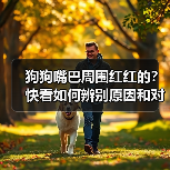 狗狗嘴巴周围红红的？快看如何辨别原因和对症下药！（图1）