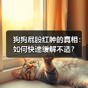 狗狗屁股红肿的真相：如何快速缓解不适？（图4）
