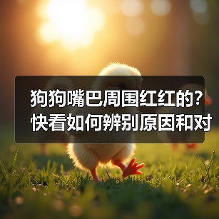 狗狗嘴巴周围红红的？快看如何辨别原因和对症下药！（图2）