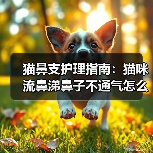 猫鼻支护理指南:猫咪流鼻涕鼻子不通气怎么办?(图1) 猫鼻支护理指南:猫咪流鼻涕鼻子不通气怎么办?(图1)