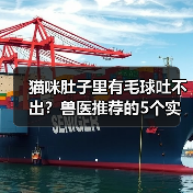 猫咪肚子里有毛球吐不出？兽医推荐的5个实用方法（图1）