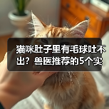 猫咪肚子里有毛球吐不出？兽医推荐的5个实用方法（图2）